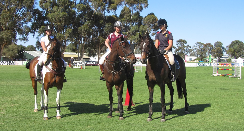 horsesinaction-loxton show